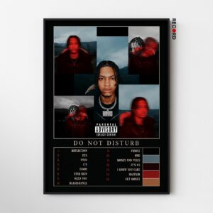 Nemzzz 'Do Not Disturb' Album Poster