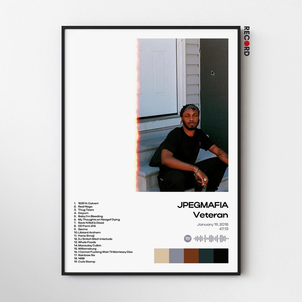 JPEGMAFIA 'Veteran' Album Poster