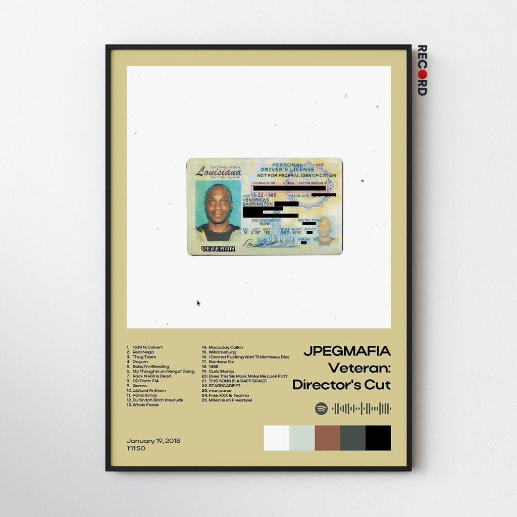 JPEGMAFIA 'Veteran: Director's Cut' Album Poster